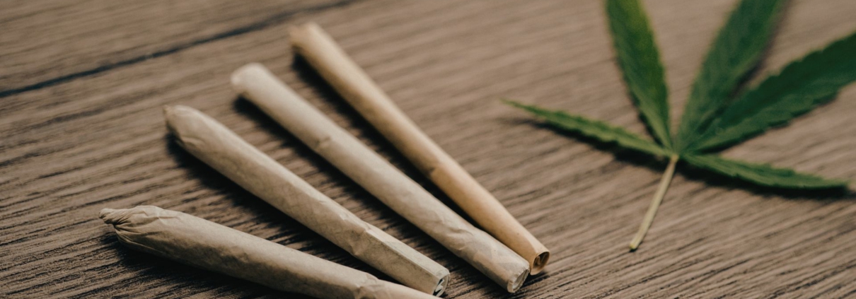 Cannabismissbrauch - eine einmalige Drogenfahrt - rechtfertigt keinen Führerscheinentzug