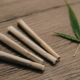 Cannabismissbrauch - eine einmalige Drogenfahrt - rechtfertigt keinen Führerscheinentzug
