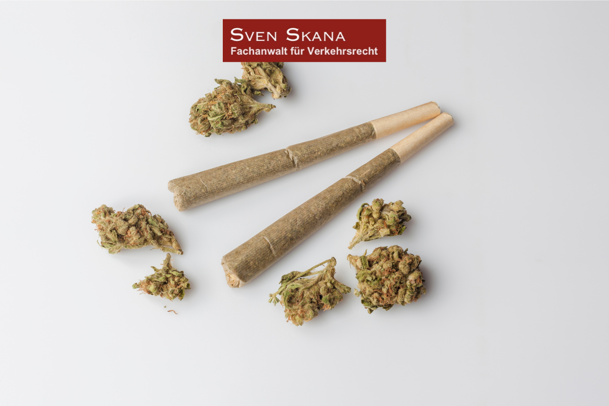 Unter bestimmten Umständen kann Cannabismissbrauch - eine einmalige Drogenfahrt - Führerscheinentzug und MPU rechtfertigen.